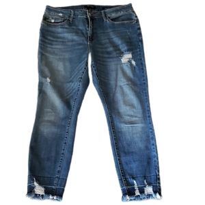 Judy Blue Skinny Jeans Size 16